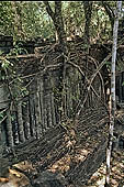 Angkor - ruins of Beng Mealea